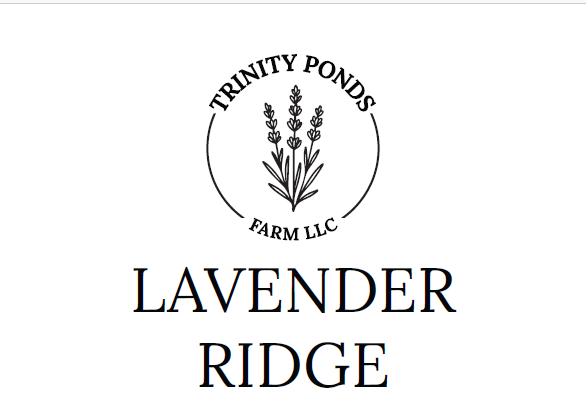 Lavender Ridge Soap Bar