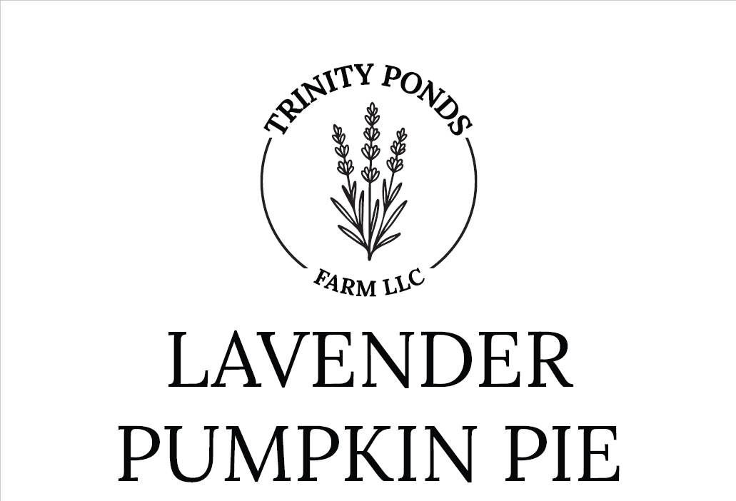Lavender Pumpkin Pie Soap Bar
