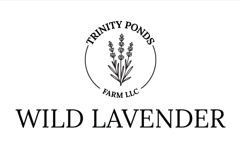 Wild Lavender Soap Bar