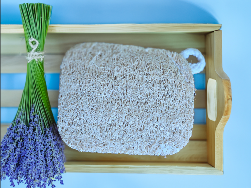 Natural Luffa Sponge | Exfoliating Loofah