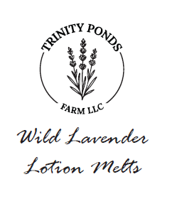 Wild Lavender Lotion Melts | Natural Solid Lotion Melts | Beeswax Shea Butter Moisturizer | Handmade Skincare | Trinity Ponds Farm