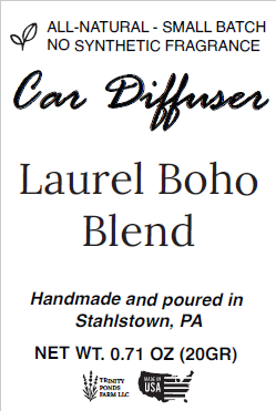 Glass & Wood Car Diffuser