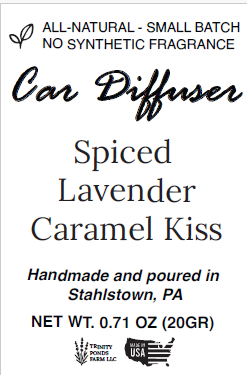 Glass & Wood Car Diffuser