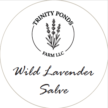 Wild Lavender Salve