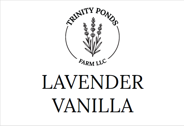 Lavender Vanilla Soap | Calming Handmade Tallow Soap