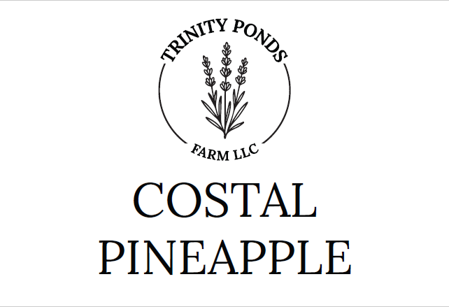 Coastal Pineapple Soap | Tropical Handmade Soap Bar