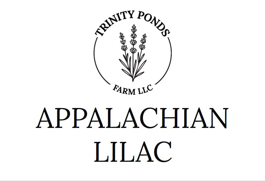 Appalachian Lilac Soap | Floral Handmade Tallow Soap