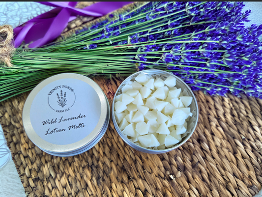 Wild Lavender Lotion Melts | Natural Solid Lotion Melts | Beeswax Shea Butter Moisturizer | Handmade Skincare | Trinity Ponds Farm