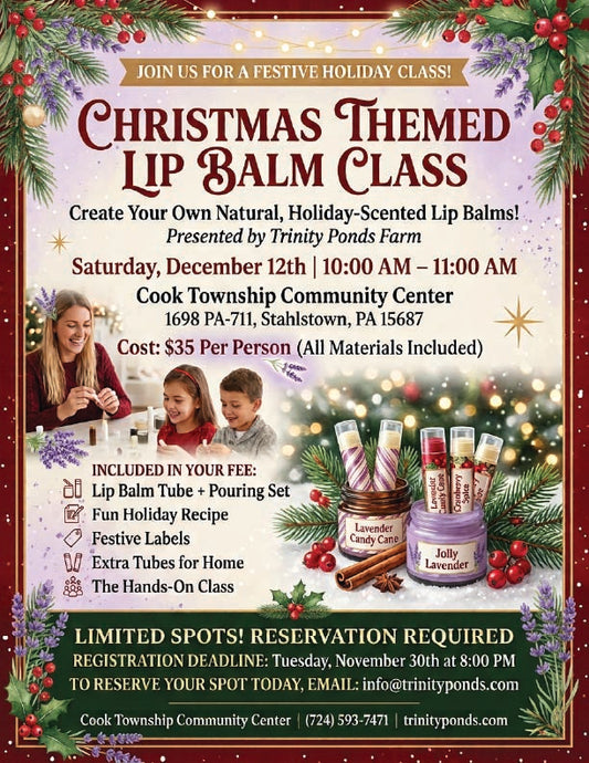 Christmas Lip Balm Class | December 12, 2026